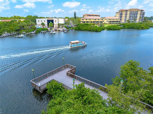 bird's eye view with a water view