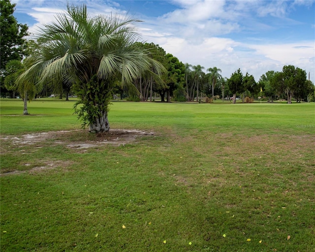 surrounding community featuring a yard