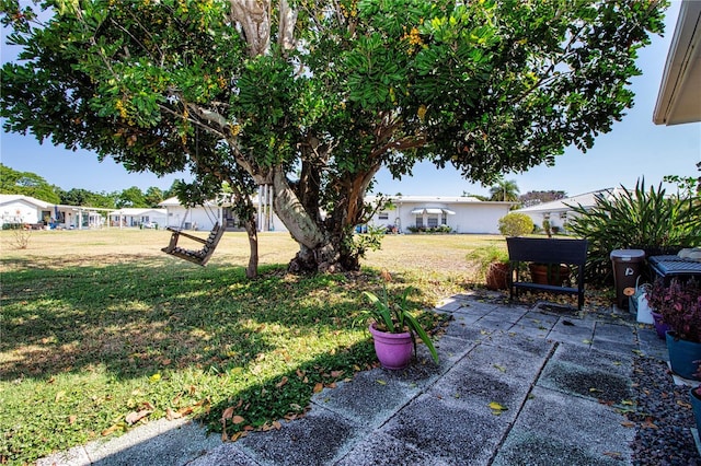 view of yard with a patio