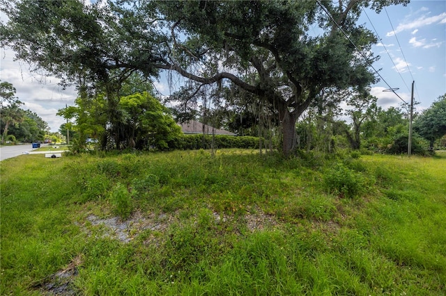 Listing photo 3 for D Allyon Dr, North Port FL 34287