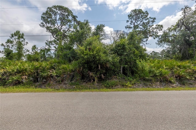 Listing photo 2 for De Leon Dr, North Port FL 34287