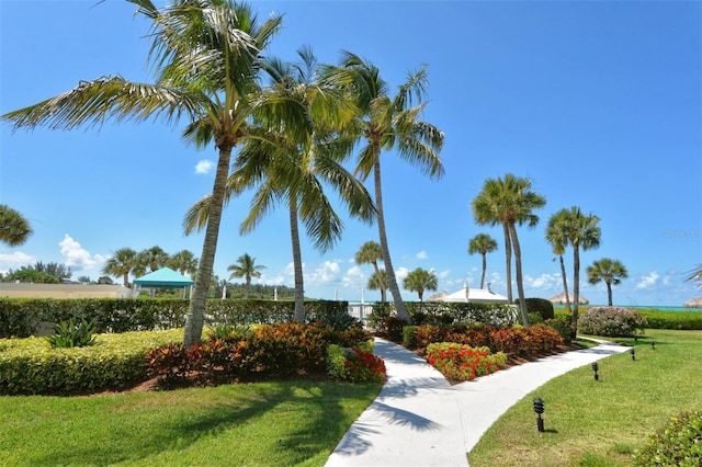 view of property's community featuring a yard