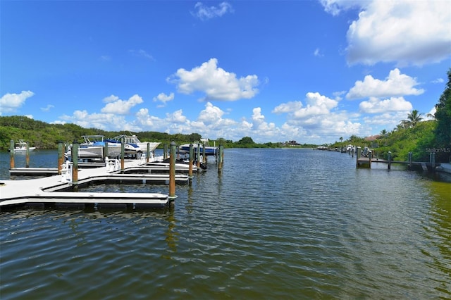 dock area with a water view