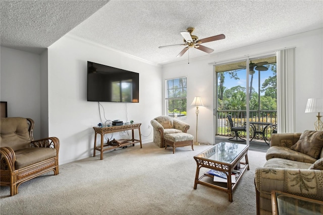 carpeted living room featuring ceiling fan and a textured ceiling