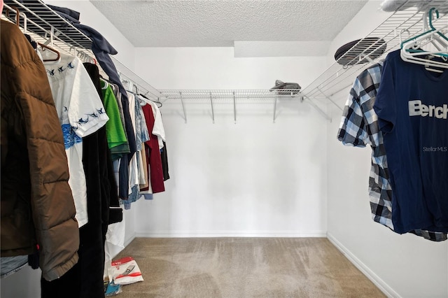 spacious closet with carpet floors