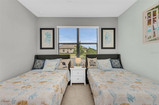 bedroom with carpet flooring