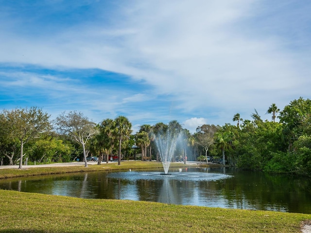 property view of water