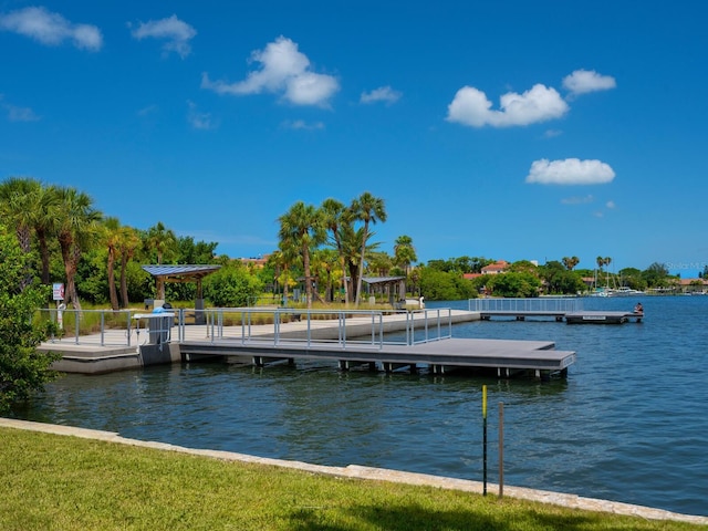 dock area with a water view