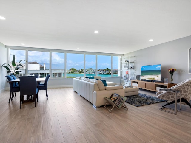 living room featuring light hardwood / wood-style flooring