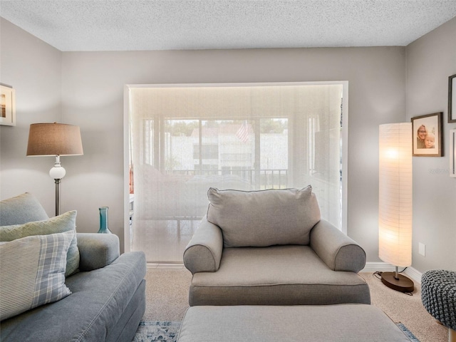 carpeted living room with a textured ceiling