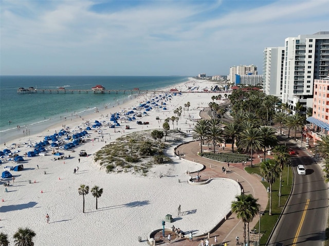 water view featuring a beach view