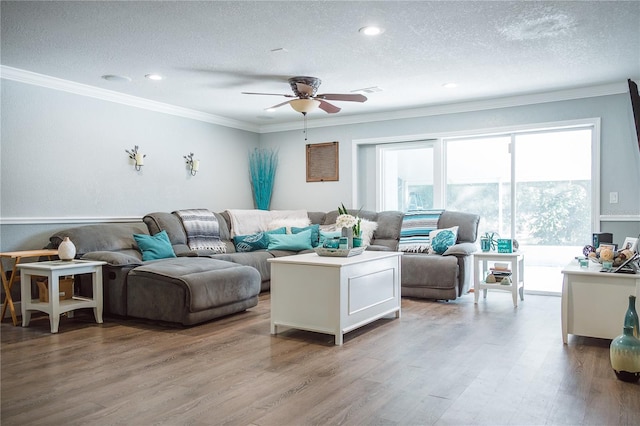 living room featuring hardwood / wood-style flooring, ceiling fan, and a textured ceiling