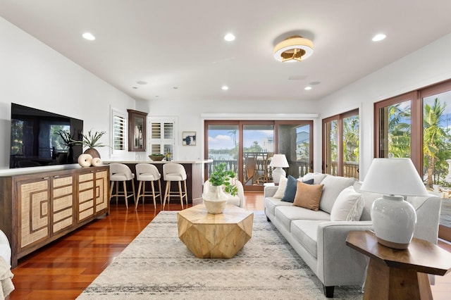 living room featuring dark hardwood / wood-style flooring