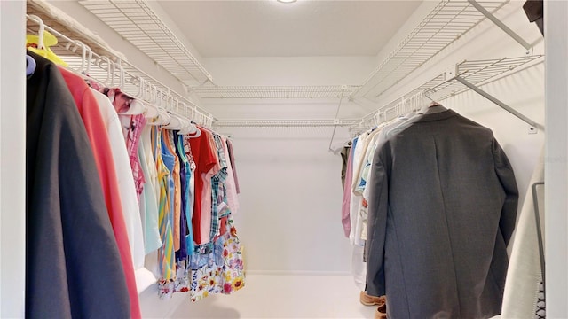 view of spacious closet