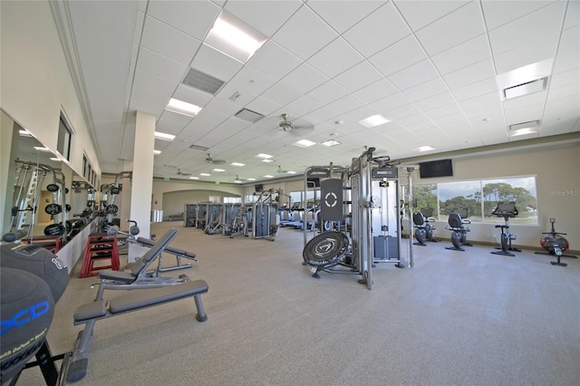 workout area with a drop ceiling, carpet flooring, and ceiling fan