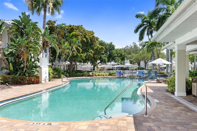 view of swimming pool featuring a patio area