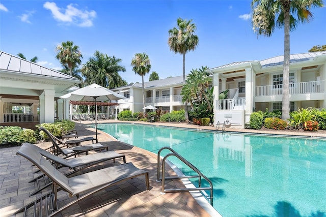 view of pool with a patio area