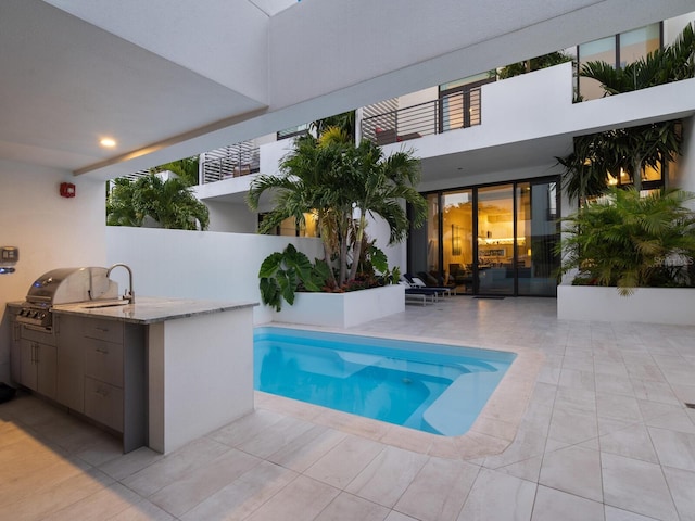 view of swimming pool with sink, area for grilling, a patio area, and a grill