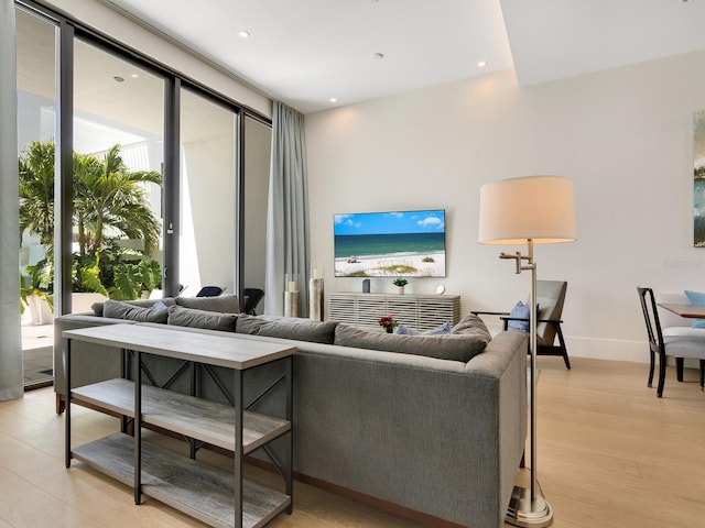 living room with a healthy amount of sunlight and light wood-type flooring