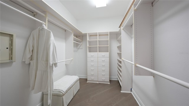 walk in closet featuring dark wood-type flooring