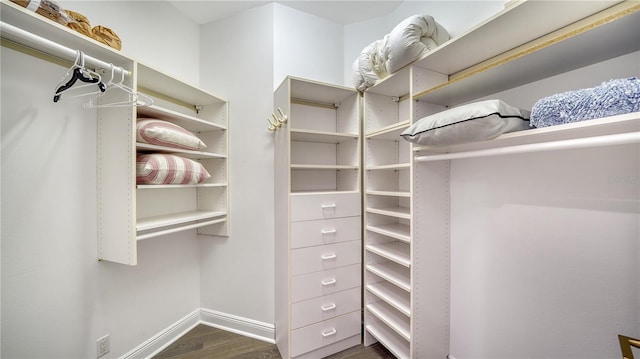 spacious closet featuring dark hardwood / wood-style floors