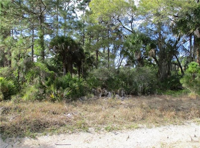 Listing photo 2 for Samovar Ter, North Port FL 34286