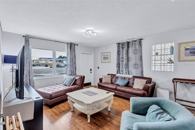 living room featuring a textured ceiling and hardwood / wood-style floors