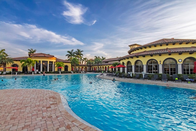 view of swimming pool with a patio area