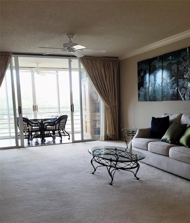 carpeted living room featuring ceiling fan, floor to ceiling windows, and a textured ceiling