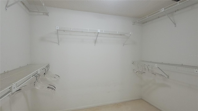 view of walk in closet