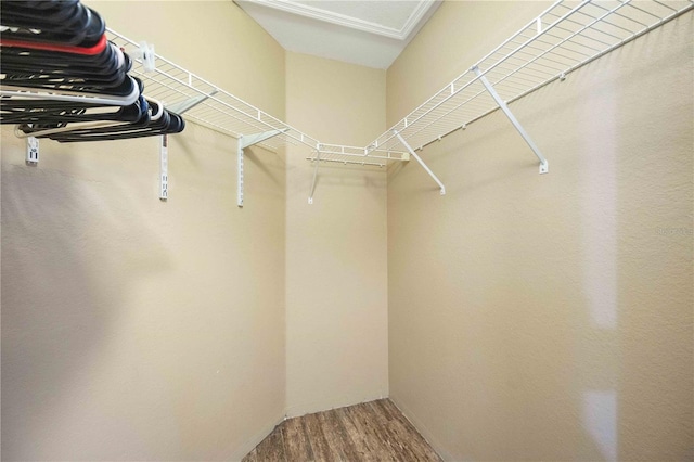 walk in closet featuring wood-type flooring