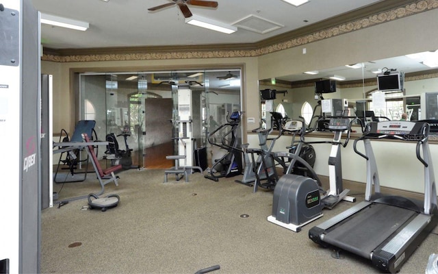 gym featuring carpet and ceiling fan