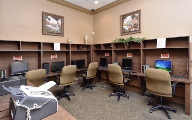 carpeted office space featuring crown molding