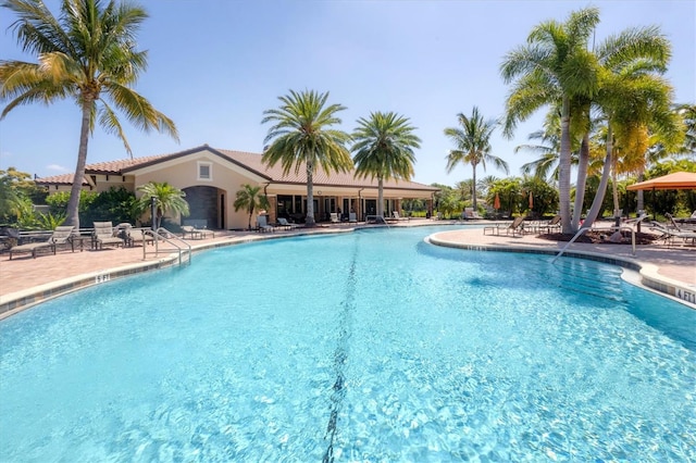 view of pool with a patio area