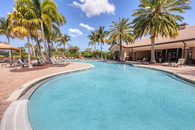 view of swimming pool featuring a patio area