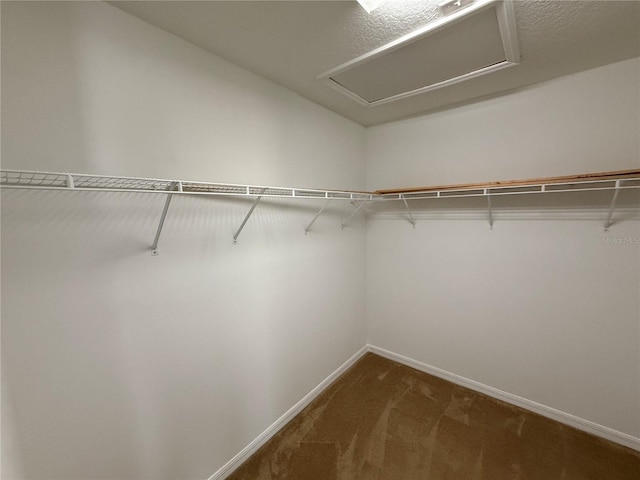 spacious closet featuring dark colored carpet