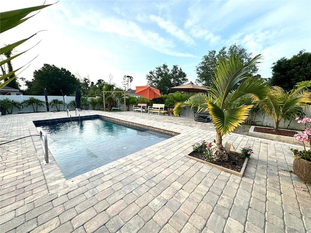 view of swimming pool featuring a patio