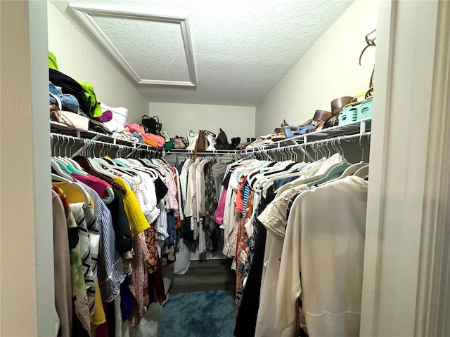 spacious closet featuring carpet