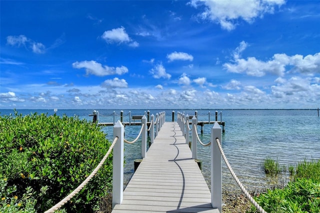 dock area with a water view