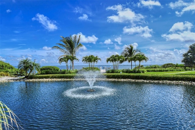 view of water feature