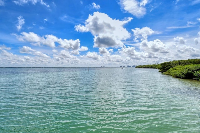 property view of water