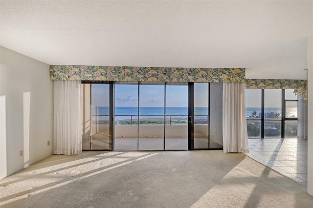 carpeted spare room with a water view