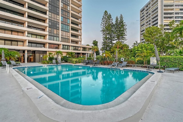 view of swimming pool featuring a patio