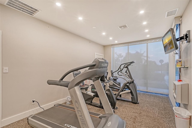 workout room with a wall of windows