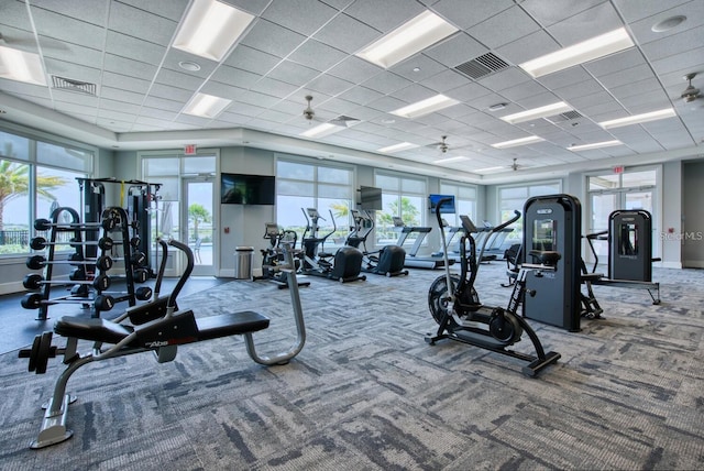 workout area with carpet flooring, a paneled ceiling, and ceiling fan