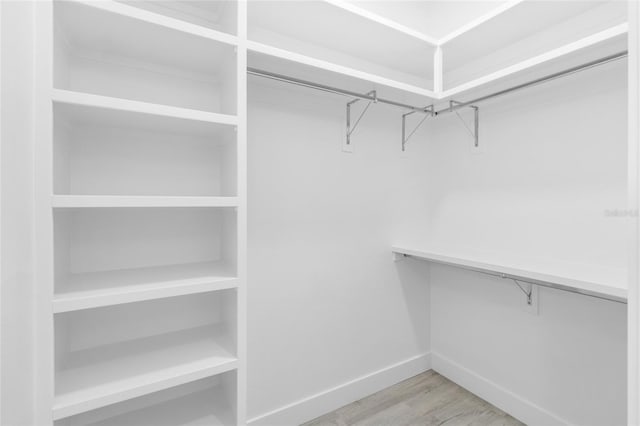 spacious closet with light hardwood / wood-style flooring