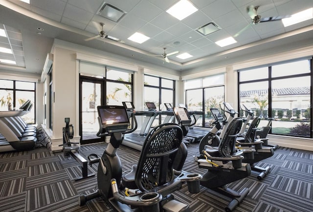 workout area featuring dark carpet, ceiling fan, a tray ceiling, and a drop ceiling