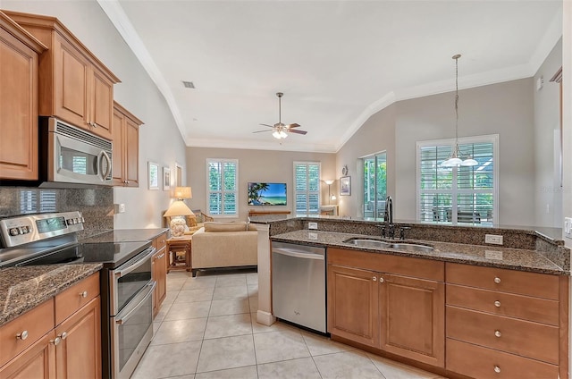 kitchen featuring ceiling fan, stainless steel appliances, vaulted ceiling, sink, and ornamental molding