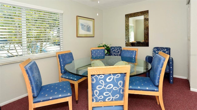 carpeted dining space with plenty of natural light