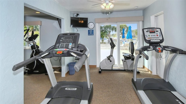 workout room with ceiling fan and carpet flooring